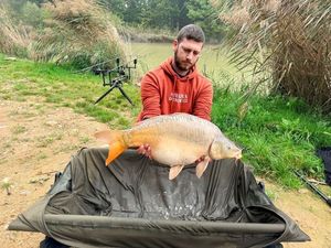 Mirror Carp