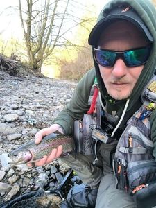 Rainbow Trout