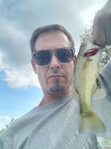 Largemouth Bass