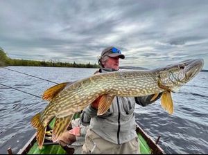 Northern Pike