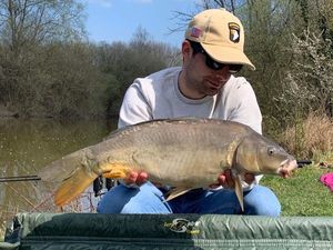 Mirror Carp
