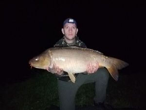 Mirror Carp