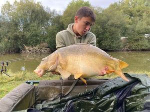 Mirror Carp