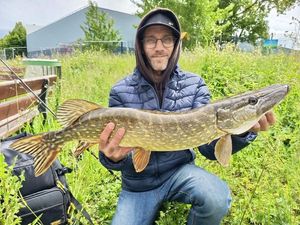 Northern Pike