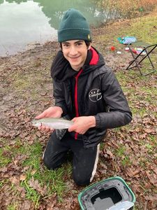 Rainbow Trout