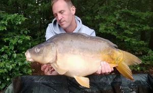 Mirror Carp