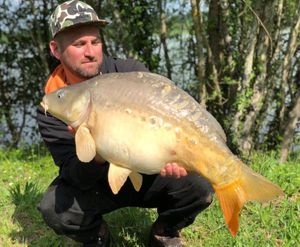 Mirror Carp