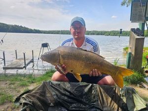 Mirror Carp