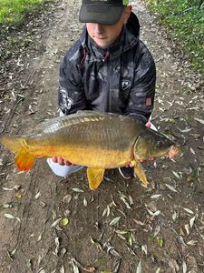Leather Carp