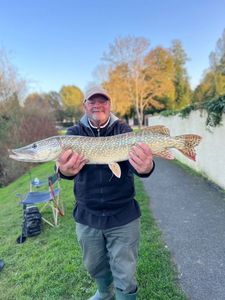 Northern Pike
