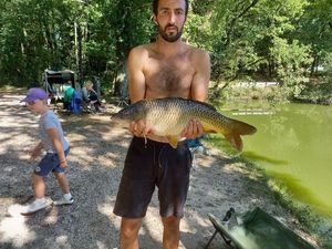 Common Carp