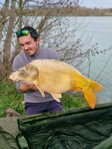Mirror Carp