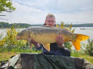 Mirror Carp