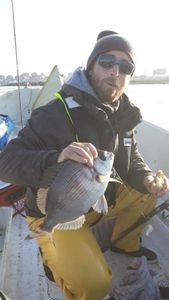 Black Seabream