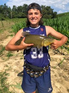 Tench