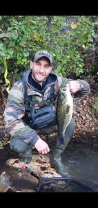 Largemouth Bass