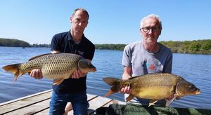 Mirror Carp