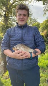 Crucian Carp