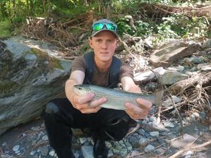 Brown Trout
