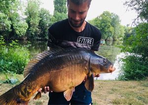 Mirror Carp