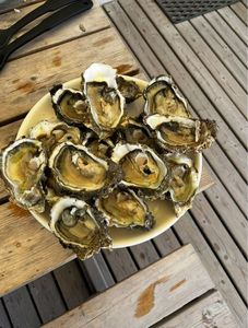 Pacific Oyster
