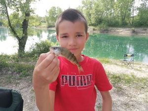 European Perch