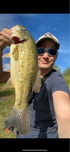 Largemouth Bass