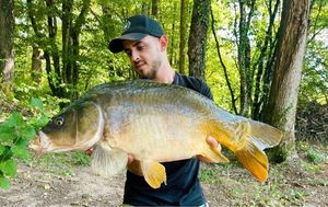 Mirror Carp