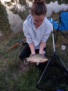 Crucian Carp