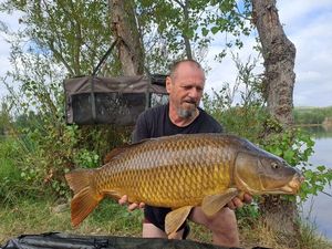 Common Carp