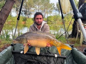 Leather Carp