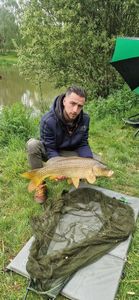 Common Carp
