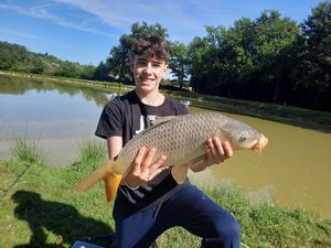 Common Carp