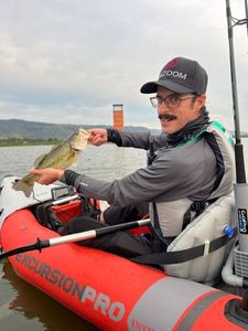 Largemouth Bass