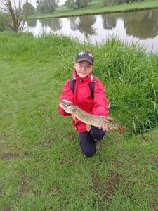 Northern Pike