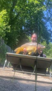 Mirror Carp
