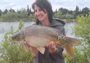 Mirror Carp