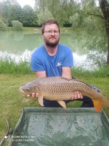 Common Carp