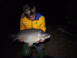 Mirror Carp