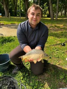 Mirror Carp