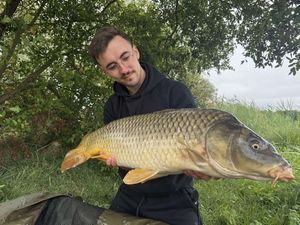 Common Carp