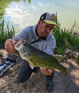 Achigan à Petite Bouche (Black-Bass)