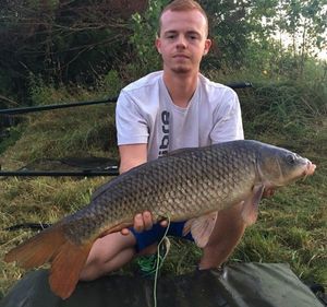 Common Carp