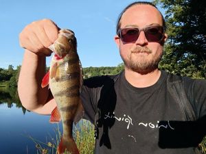 European Perch