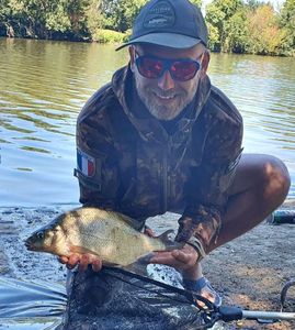 Common Bream