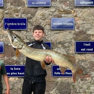 Northern Pike