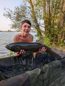 Grass Carp