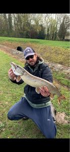 Northern Pike