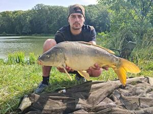 Mirror Carp