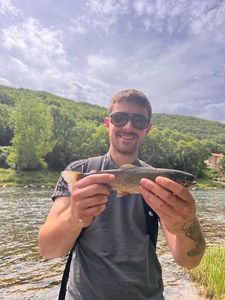 Rainbow Trout